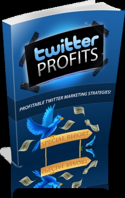 Product picture 2010 twitter profits -PLR